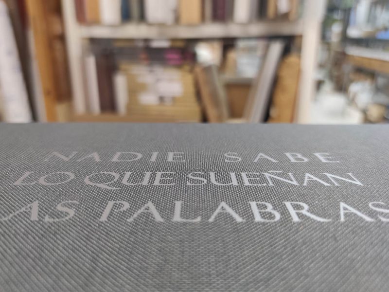 Nadie sabe a lo que saben las palabras de Victoria Santesmases